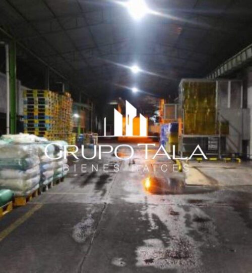 Bodega en renta Escuintla