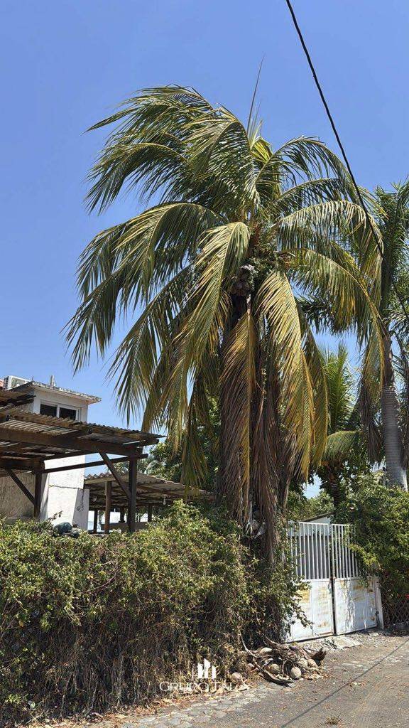 Casa en Renta Monterrico, Tortuga Laguna - Image 2