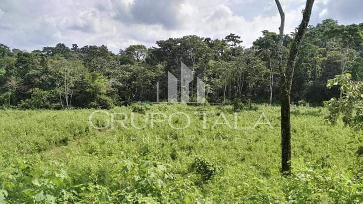 FINCA EN VENTA CANTÓN LA LIBERTAD, NUEVO SAN CARLOS, RETALHULEU - Image 2