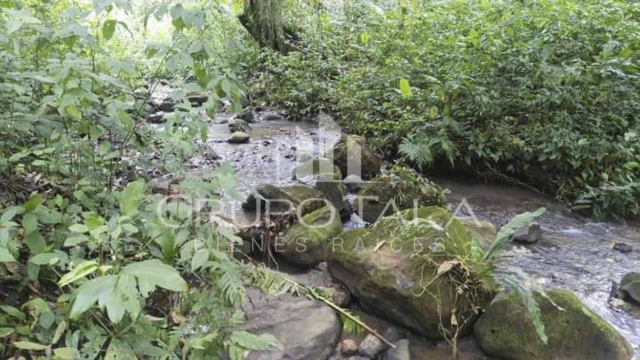 FINCA EN VENTA CANTÓN LA LIBERTAD, NUEVO SAN CARLOS, RETALHULEU - Image 3
