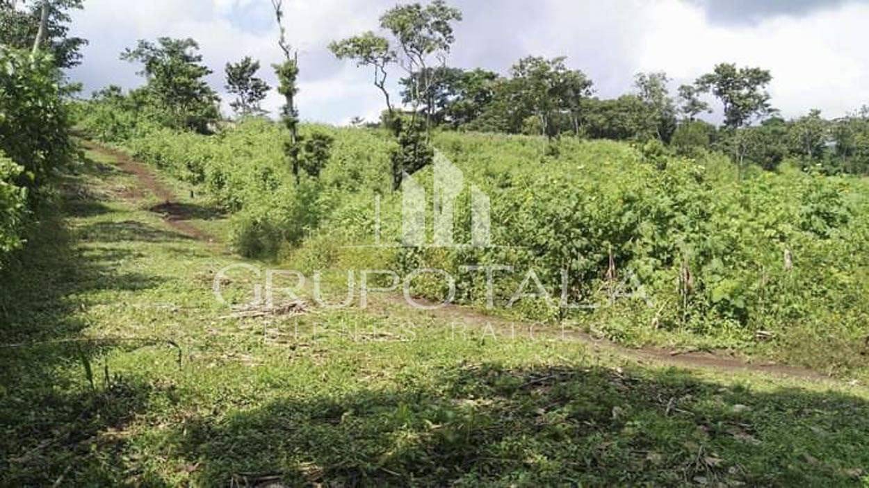 FINCA EN VENTA CANTÓN LA LIBERTAD, NUEVO SAN CARLOS, RETALHULEU - Image 4