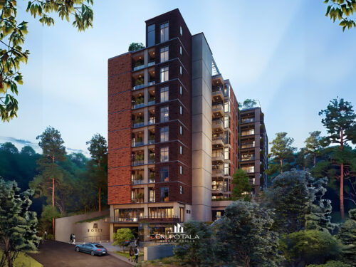 Proyecto Foret