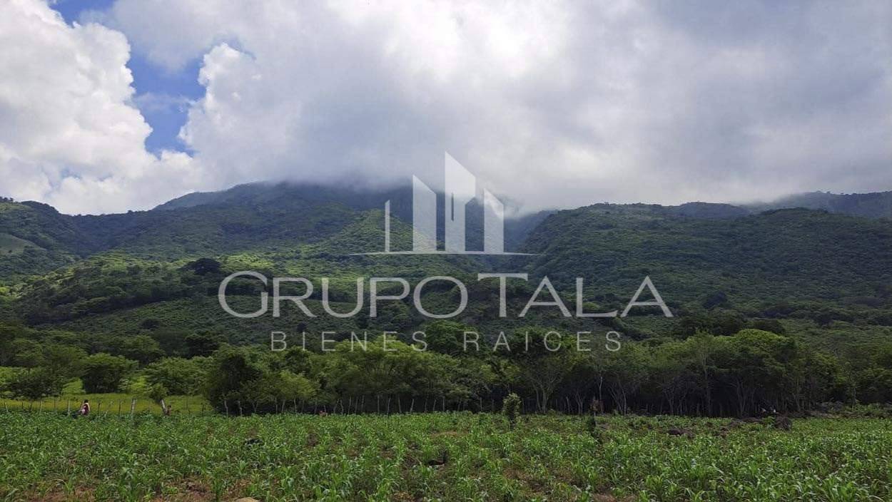Finca en Venta Jutiapa - Image 3