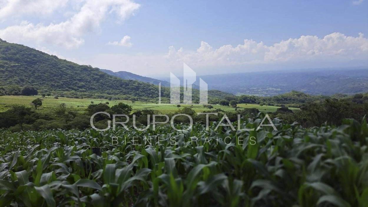 Finca en Venta Jutiapa - Image 4
