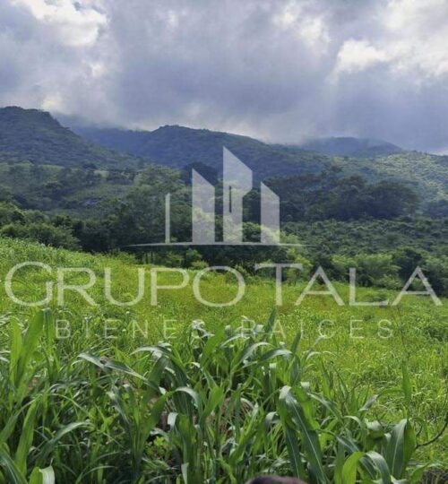 Finca en Venta Jutiapa
