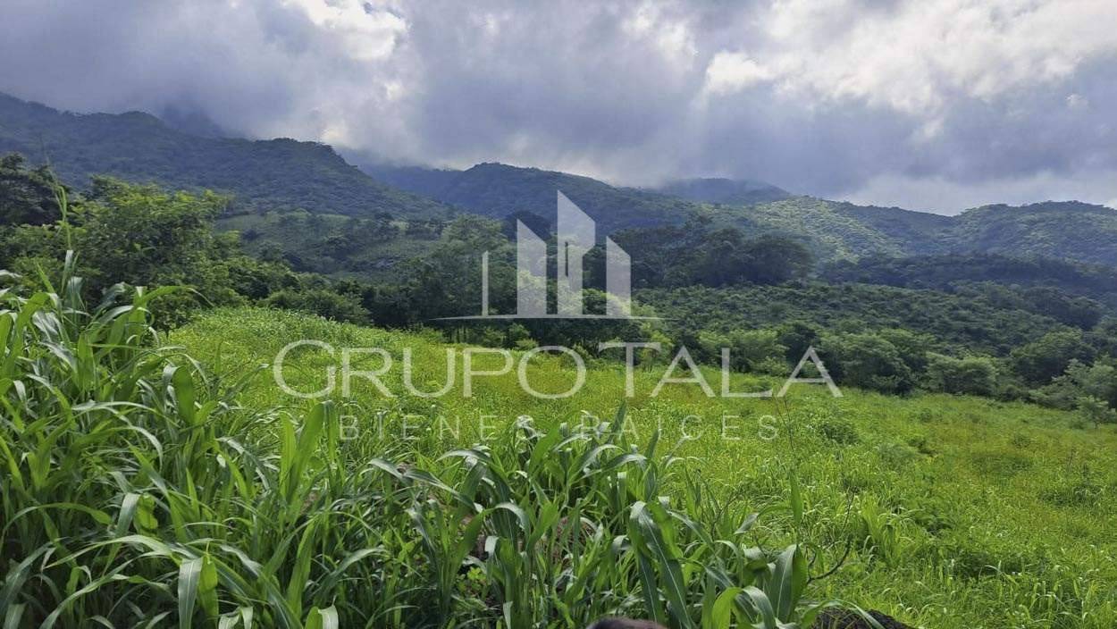 Finca en Venta Jutiapa - Image 1