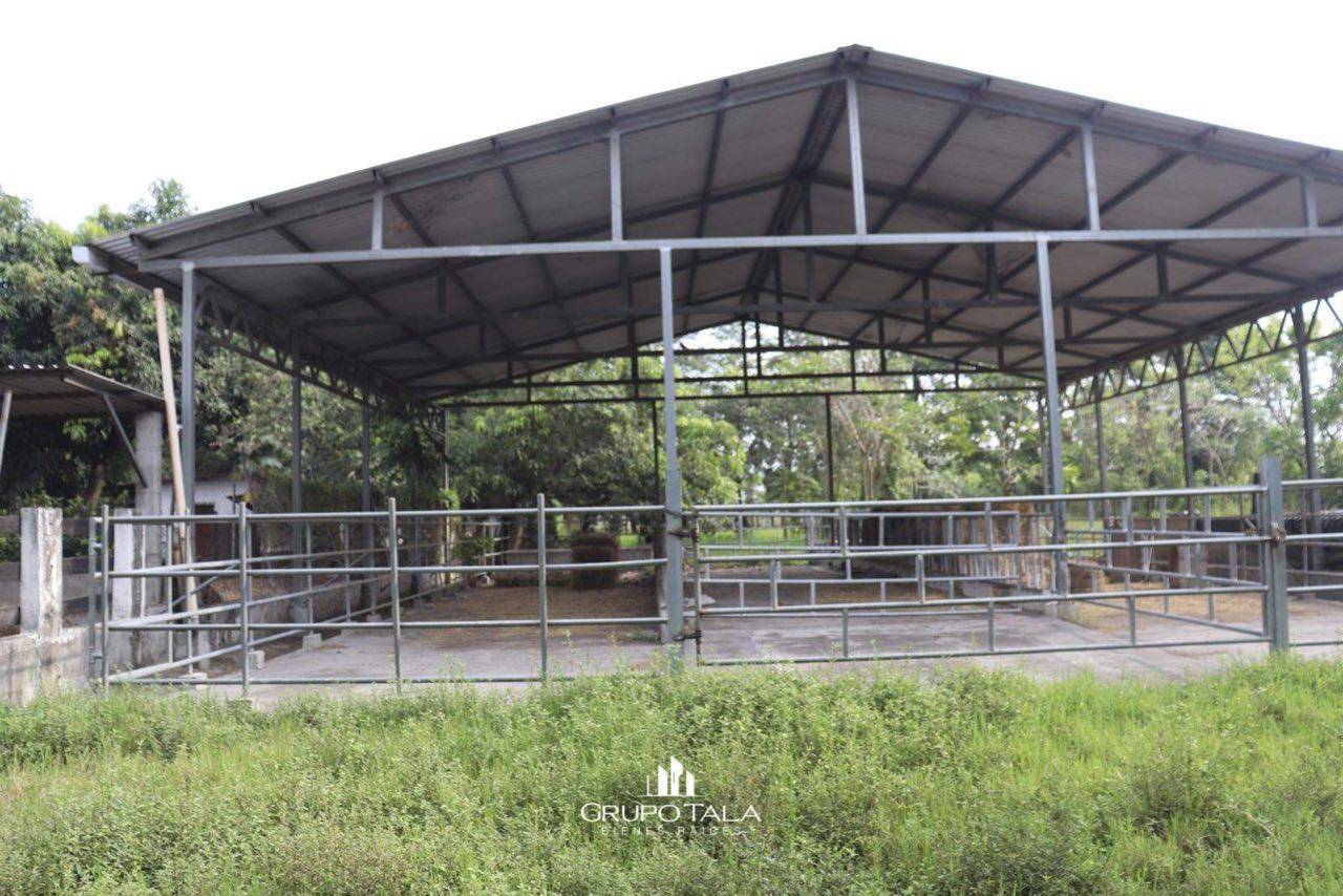 Finca en venta Masagua, Escuintla - Image 3