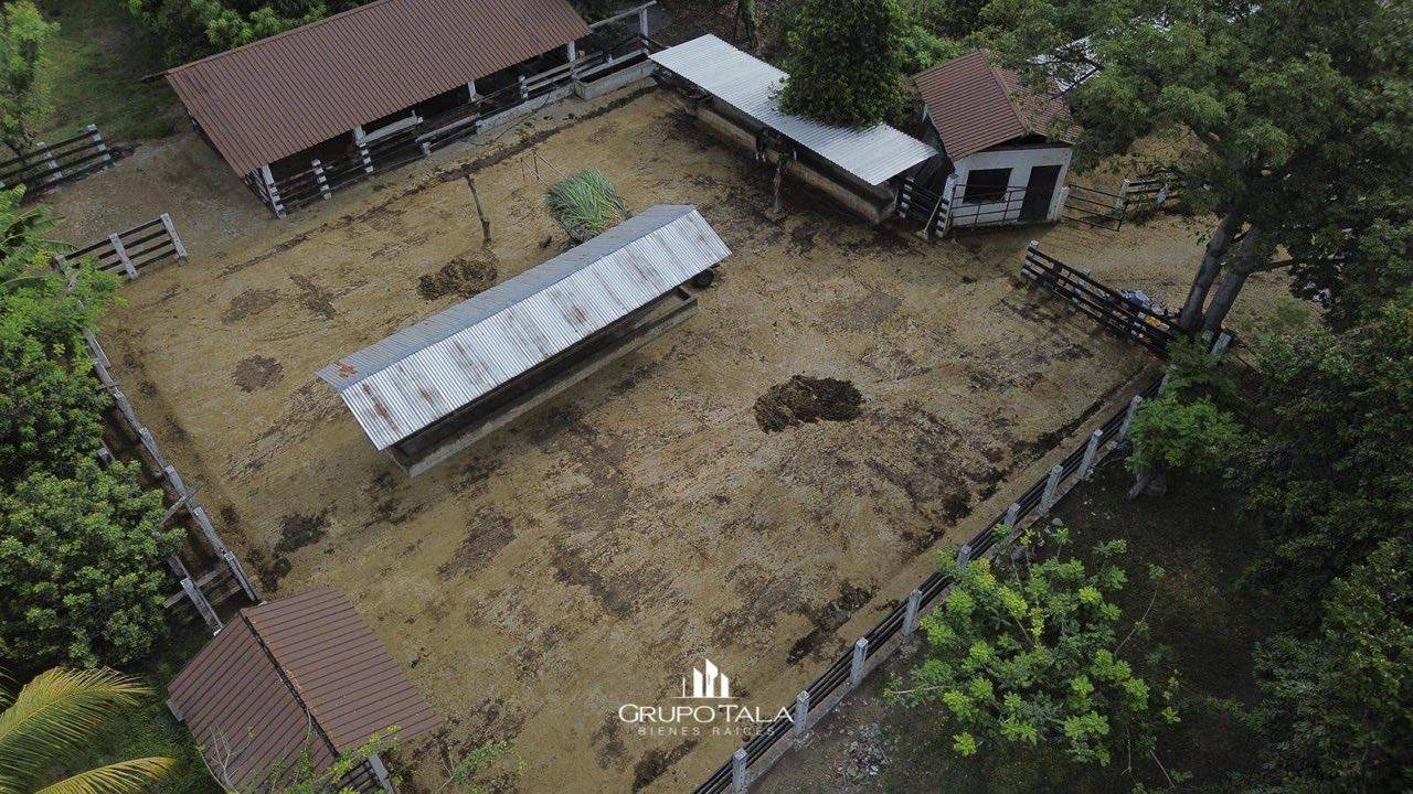 Finca en venta Masagua, Escuintla - Image 4