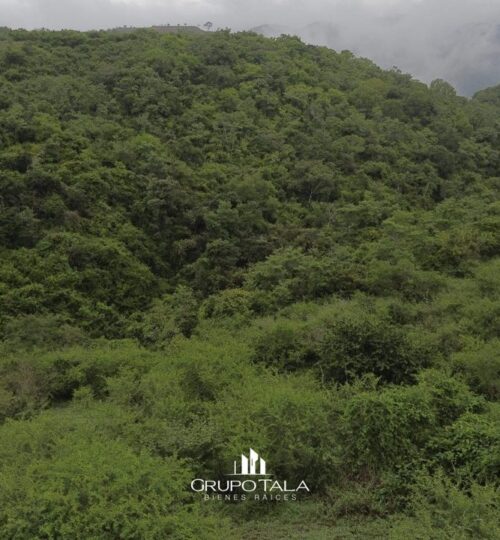 Finca en venta San José del Golfo