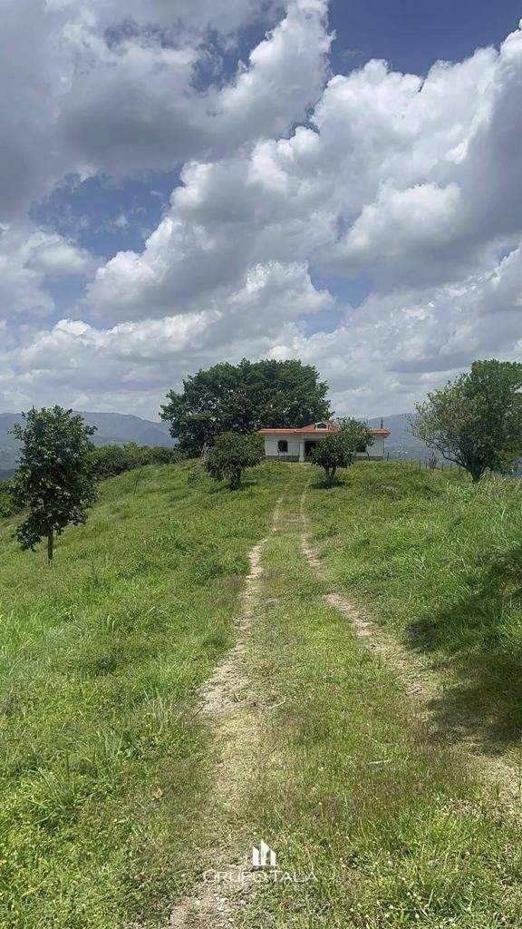 Finca en venta San José del Golfo - Image 3