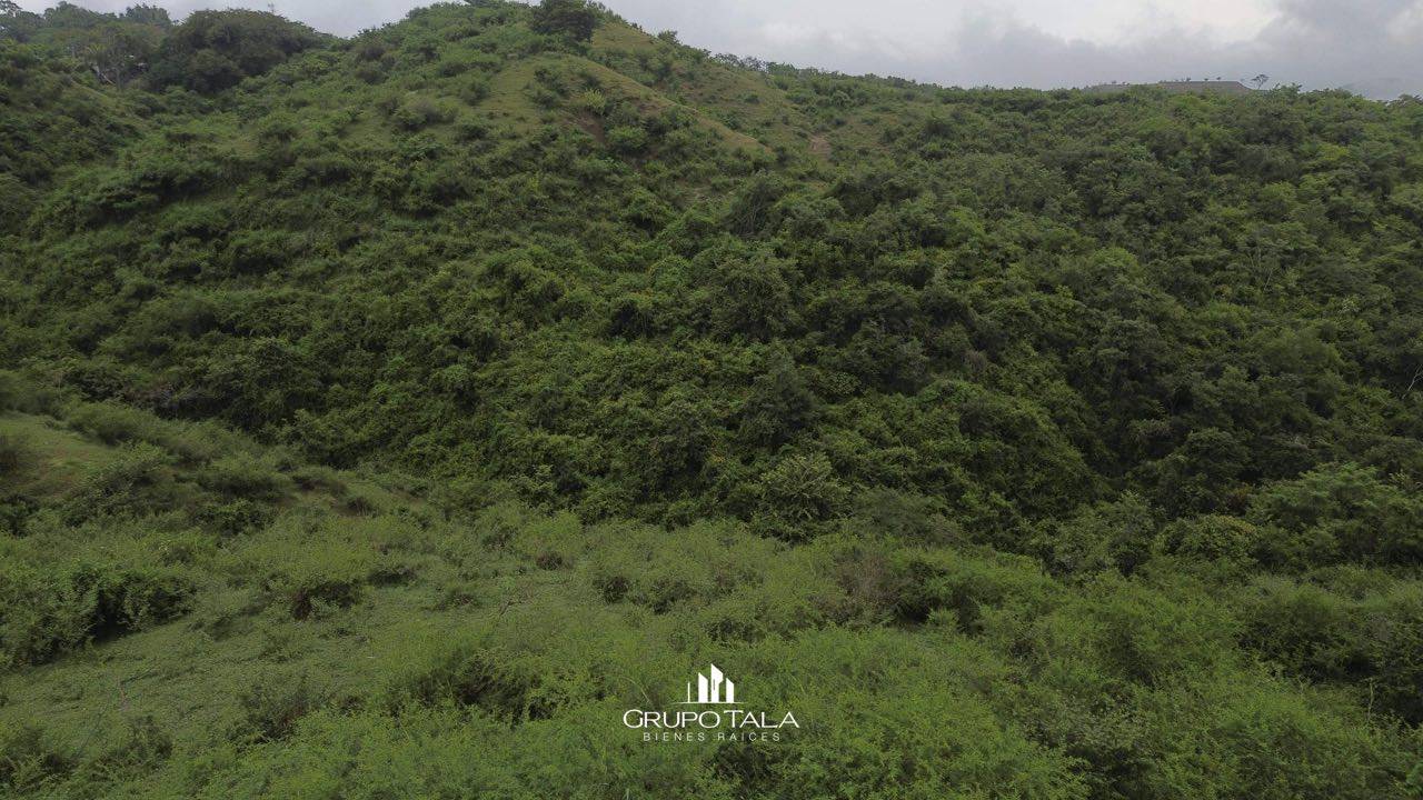 Finca en venta San José del Golfo - Image 4