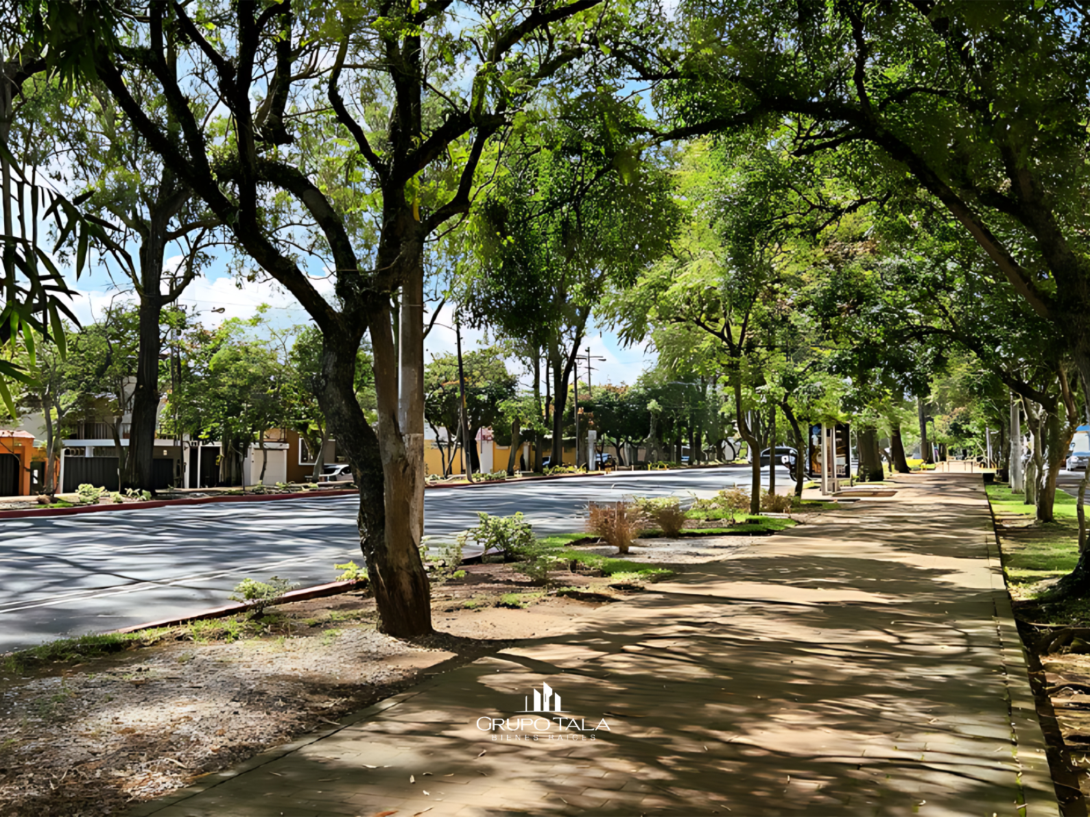 Proyecto de apartamentos en venta en zona 2, Minerva - Miniatura 10