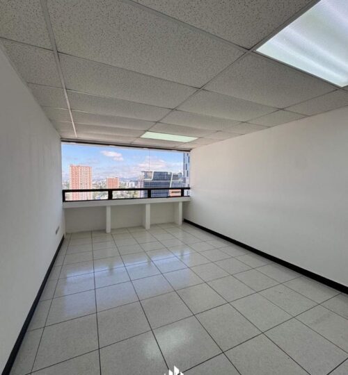 Oficinas en Renta Géminis 10
