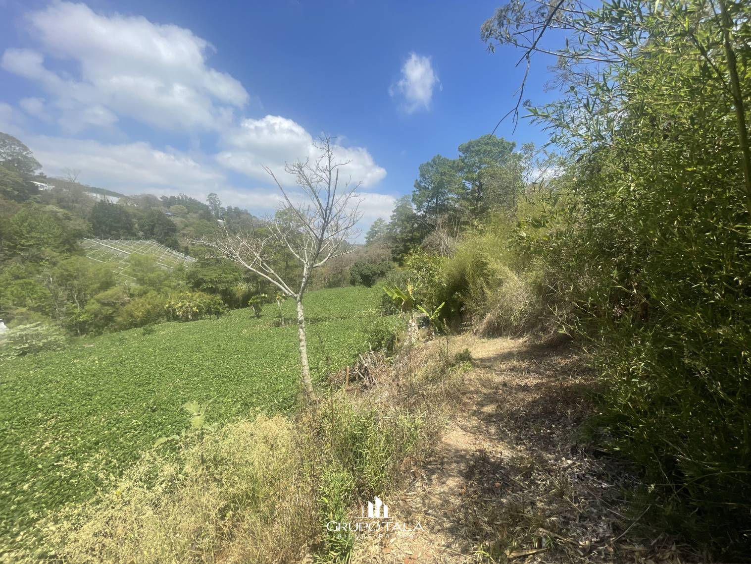 Terreno en venta en camino a Palencia, San José Pinula - Miniatura 6