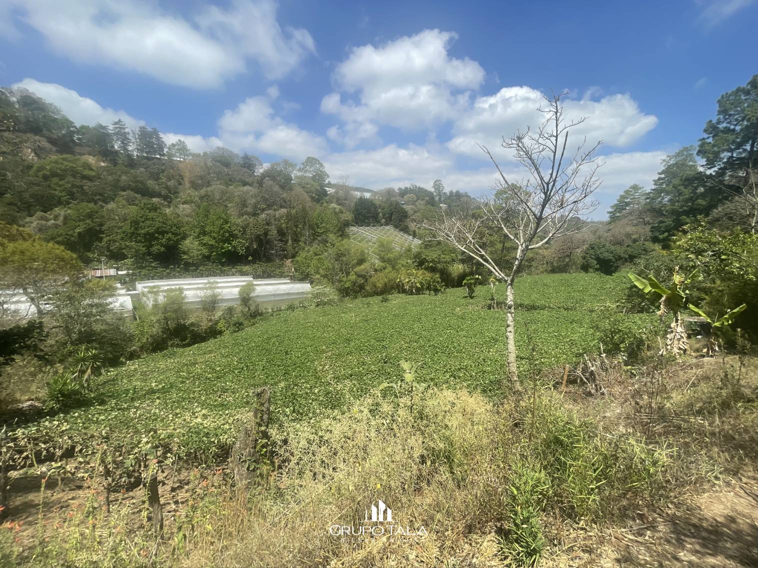 Terreno en venta en camino a Palencia, San José Pinula - Miniatura 7