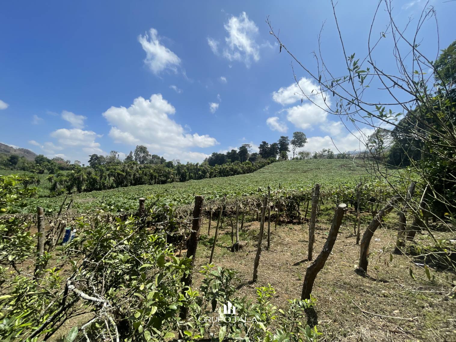 Terreno en venta en camino a Palencia, San José Pinula - Image 1