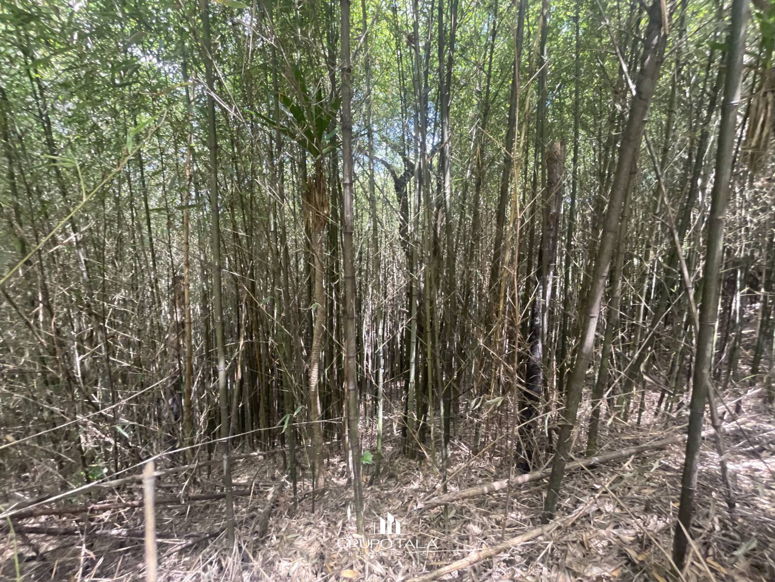 Terreno en venta en camino a Palencia, San José Pinula - Miniatura 8