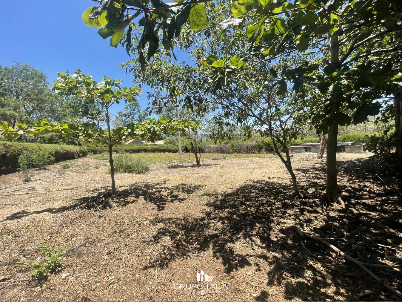 Propiedad con Terreno en Venta el Jocotillo - Miniatura 7