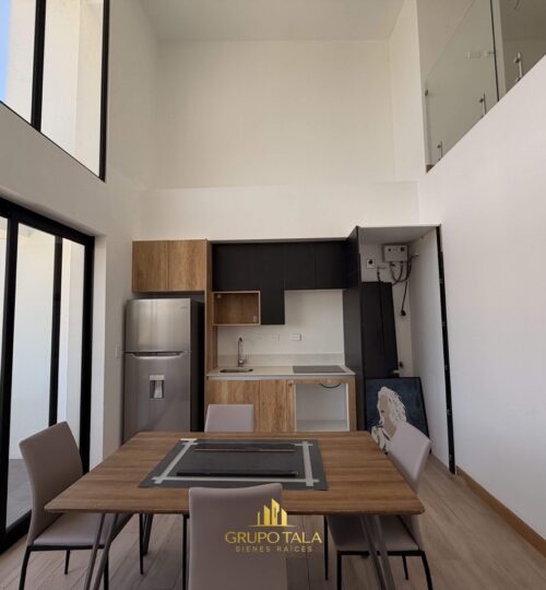 Proyecto Apartamentos zona 14 Aoki