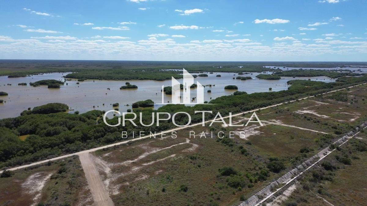 Proyecto de terrenos en venta Almare Sisal - Miniatura 7