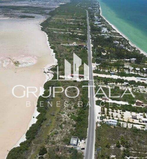 Proyecto de terrenos en venta Palmarea II grupo tala