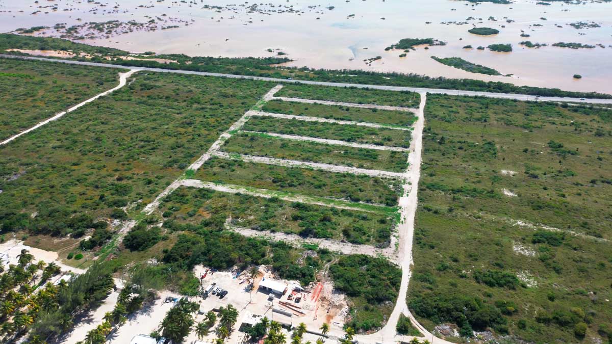Proyecto de terrenos en venta Soletta - Miniatura 6