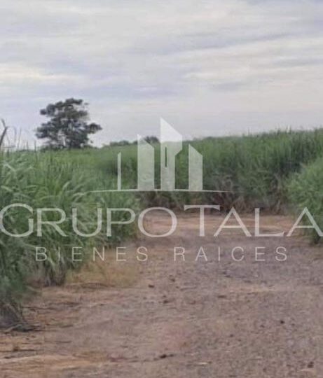 TERRENO EN VENTA GUANAGAZAPA, ESCUINTLA