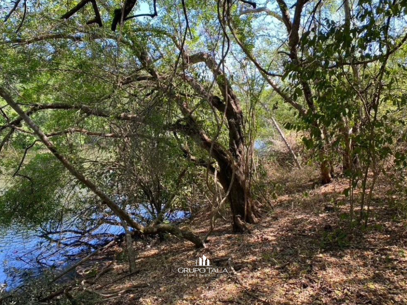 Terreno en venta en Hawaii, Chiquimulilla, Santa Rosa - Image 2