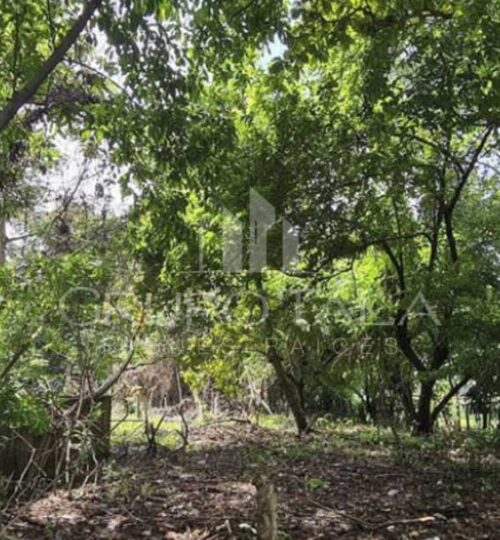 Terreno en venta Cañaveral, Carretera Siquinalá, Escuintla