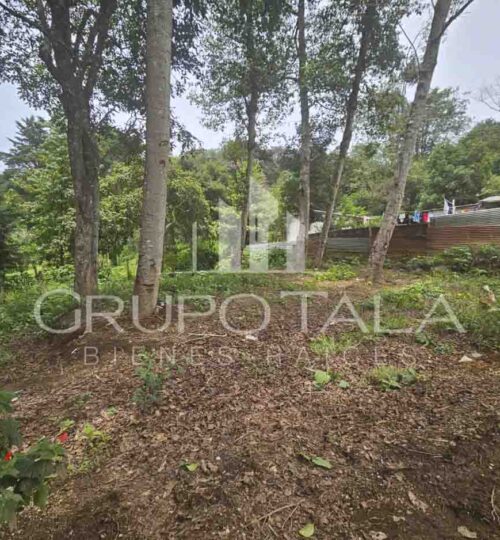 Terreno en venta Lotificación Los Pinos, San Lucas Sacatepéquez
