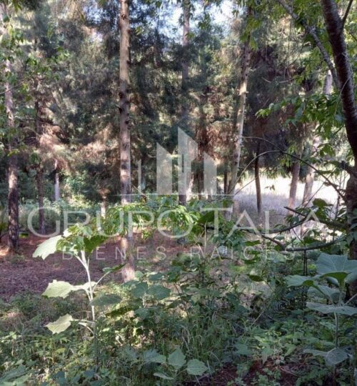 Terreno en Venta en Sta. María Cauqué, Santiago Sacatepequez