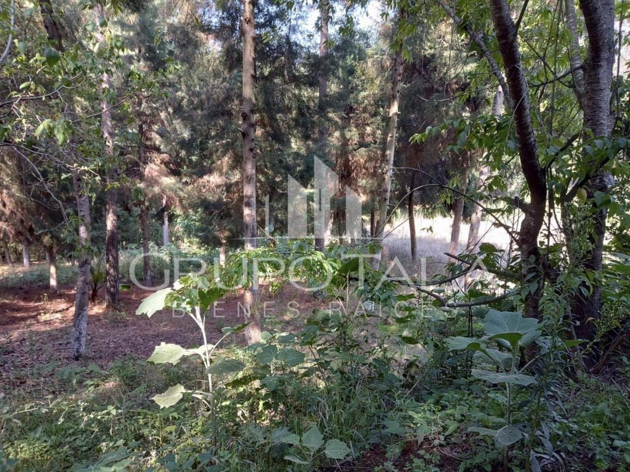 Terreno en Venta en Sta. María Cauqué, Santiago Sacatepequez - Image 1