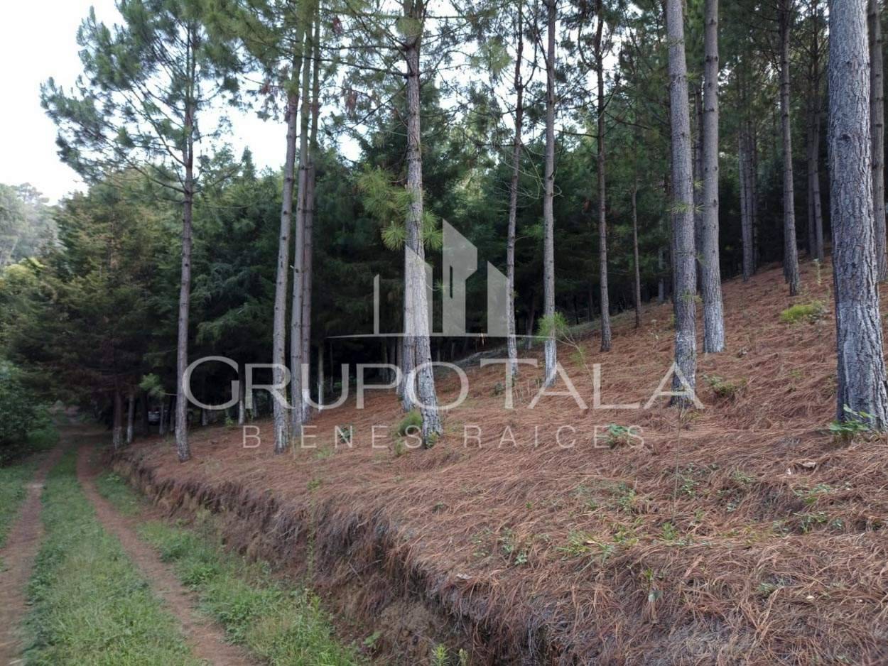 Terreno en Venta en Sta. María Cauqué, Santiago Sacatepequez - Image 3