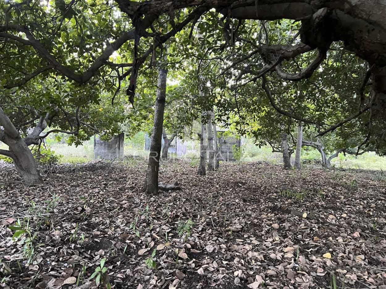 Terreno en venta Aldea Monterrico, Santa Rosa - Image 4