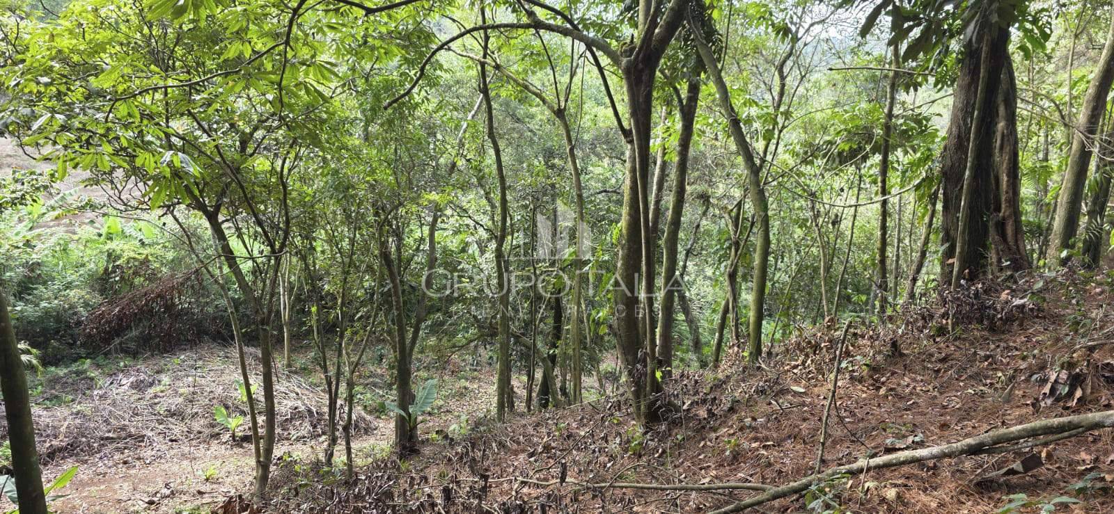 Terreno en venta El Rosario, zona 6 Santa Catarina Pinula - Image 2