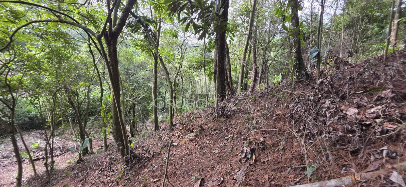 Terreno en venta El Rosario, zona 6 Santa Catarina Pinula - Image 3