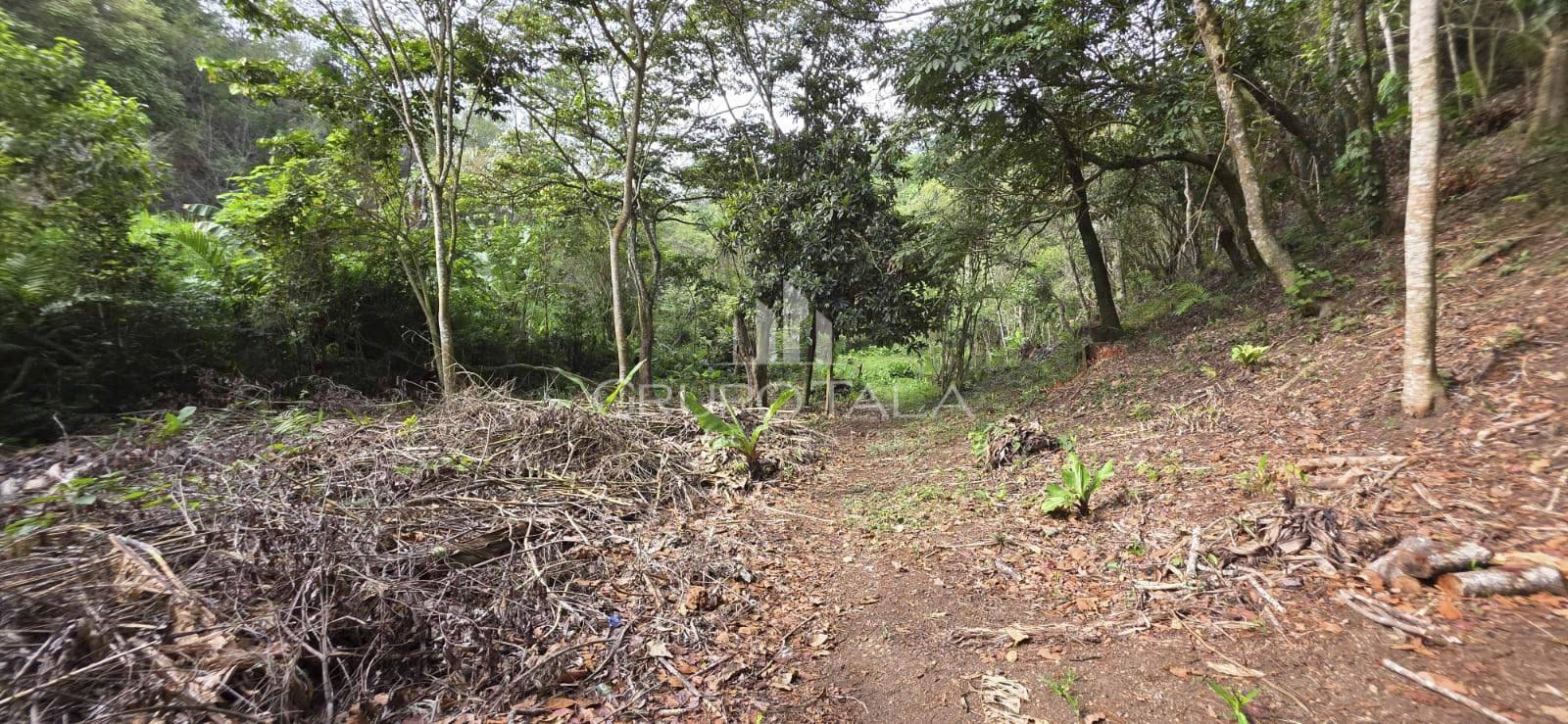 Terreno en venta El Rosario, zona 6 Santa Catarina Pinula - Image 1