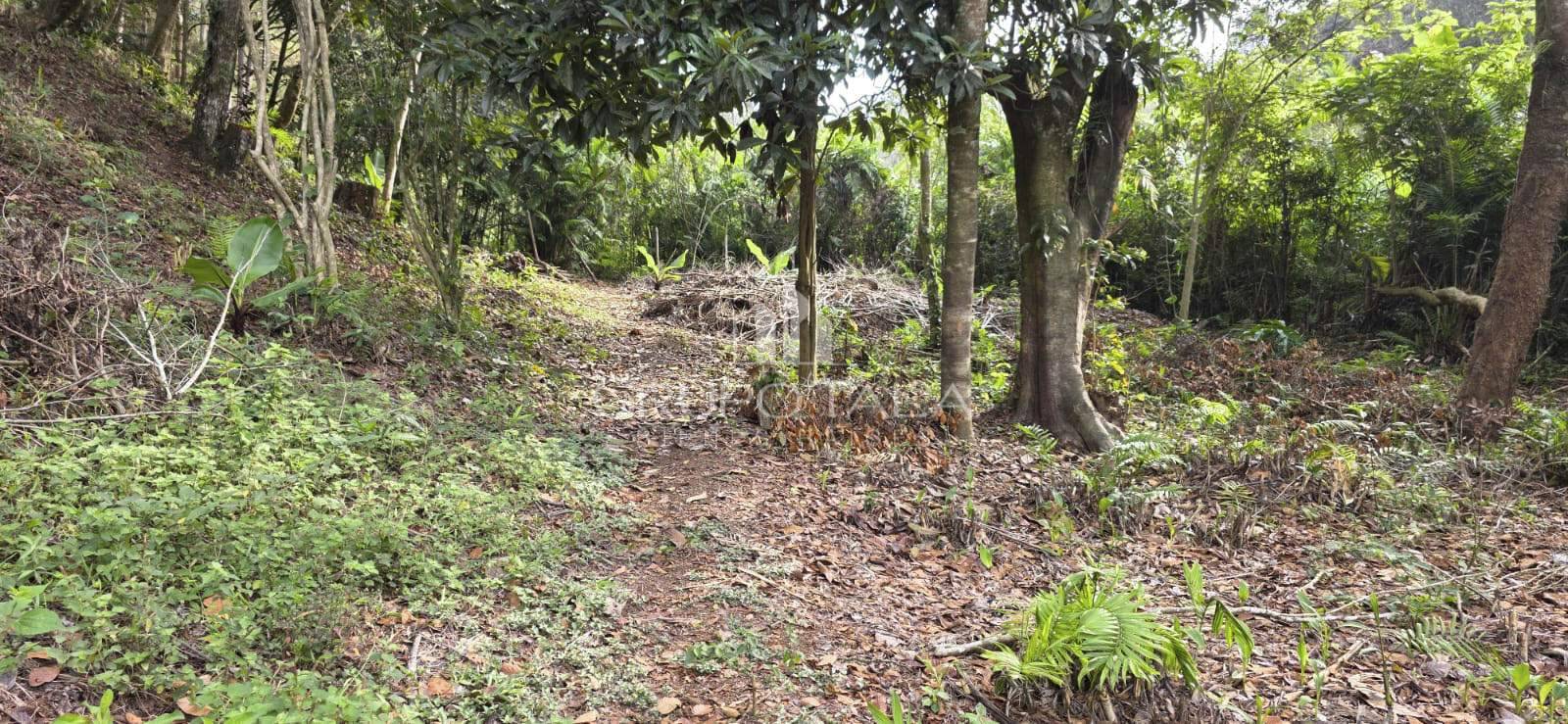 Terreno en venta El Rosario, zona 6 Santa Catarina Pinula - Image 5