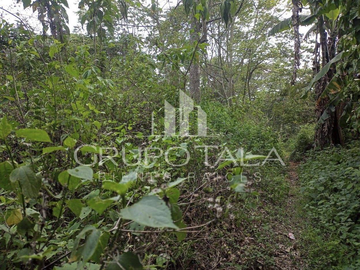 Terreno en venta Fraijanes Ciudad de Guatemala - Image 3