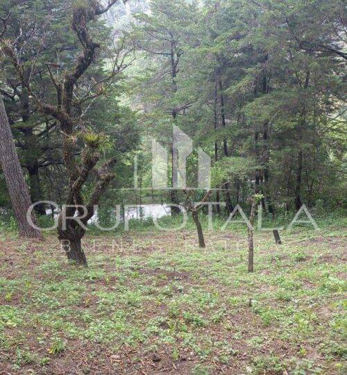 Terreno en venta Fraijanes Ciudad de Guatemala grupo tala
