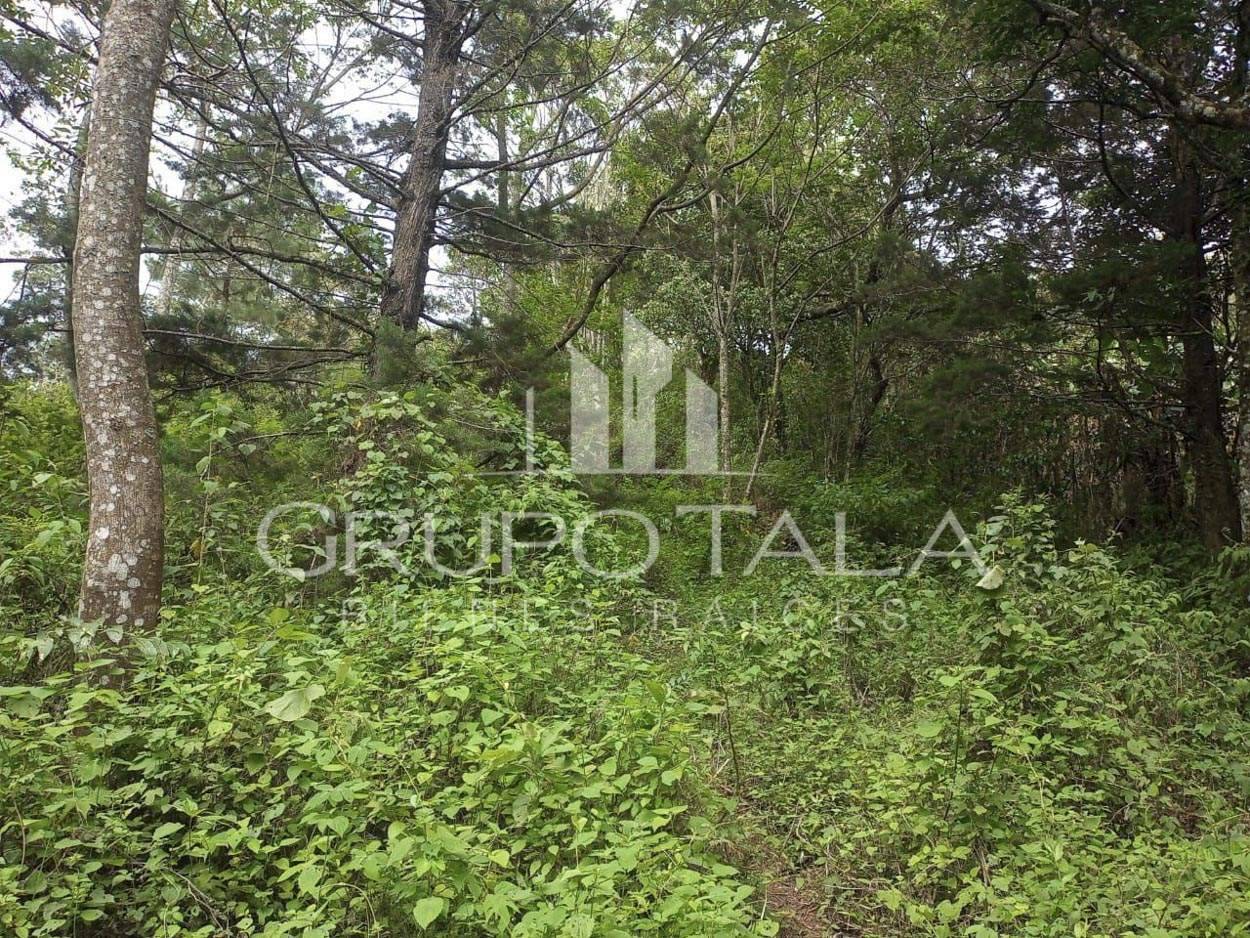 Terreno en venta Fraijanes Ciudad de Guatemala - Image 4
