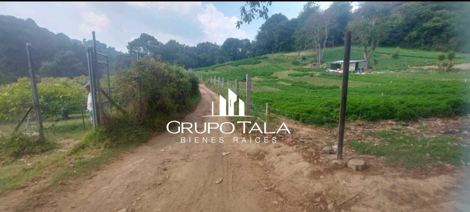 Terreno en venta Hass Santiago Sacatepéquez - Image 3