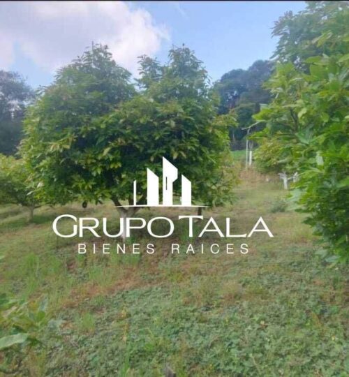 Terreno en venta Hass Santiago Sacatepéquez