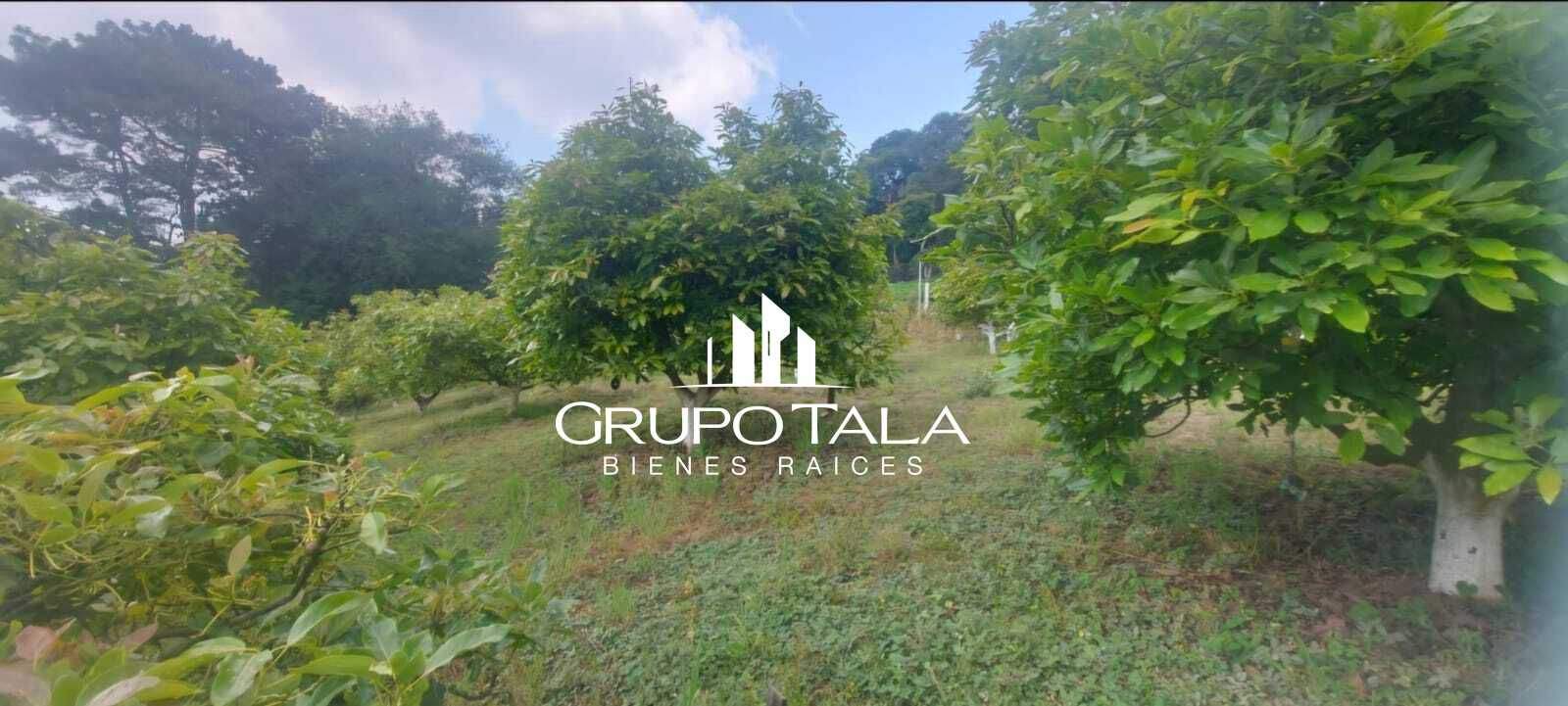 Terreno en venta Hass Santiago Sacatepéquez - Image 1