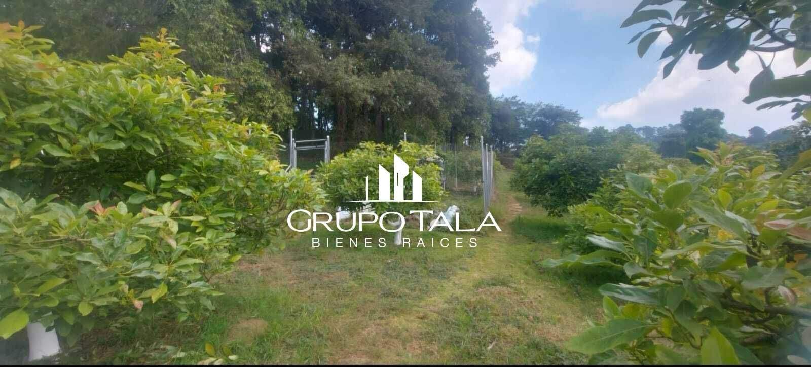 Terreno en venta Hass Santiago Sacatepéquez - Image 4