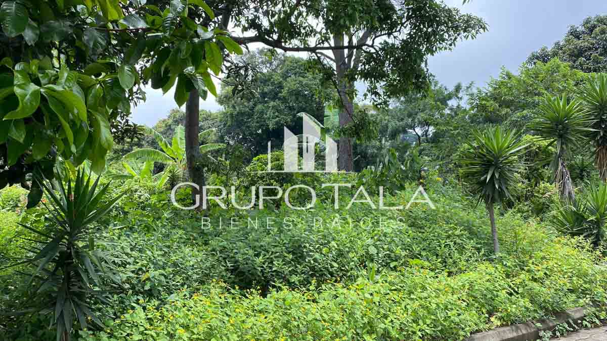 Terreno en venta Lotificación Montebello - Image 3