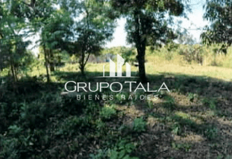 Terreno en venta Quintas Vallarta, Escuintla - Image 5
