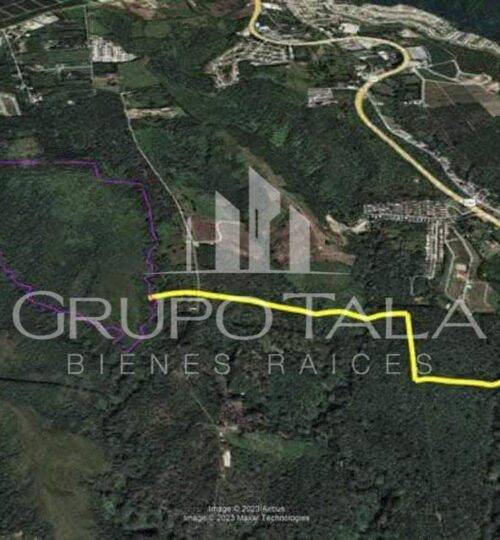 Terreno en venta Santa Elena Barillas grupo tala bienes raices
