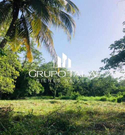 Terrenos en venta Rio Dulce