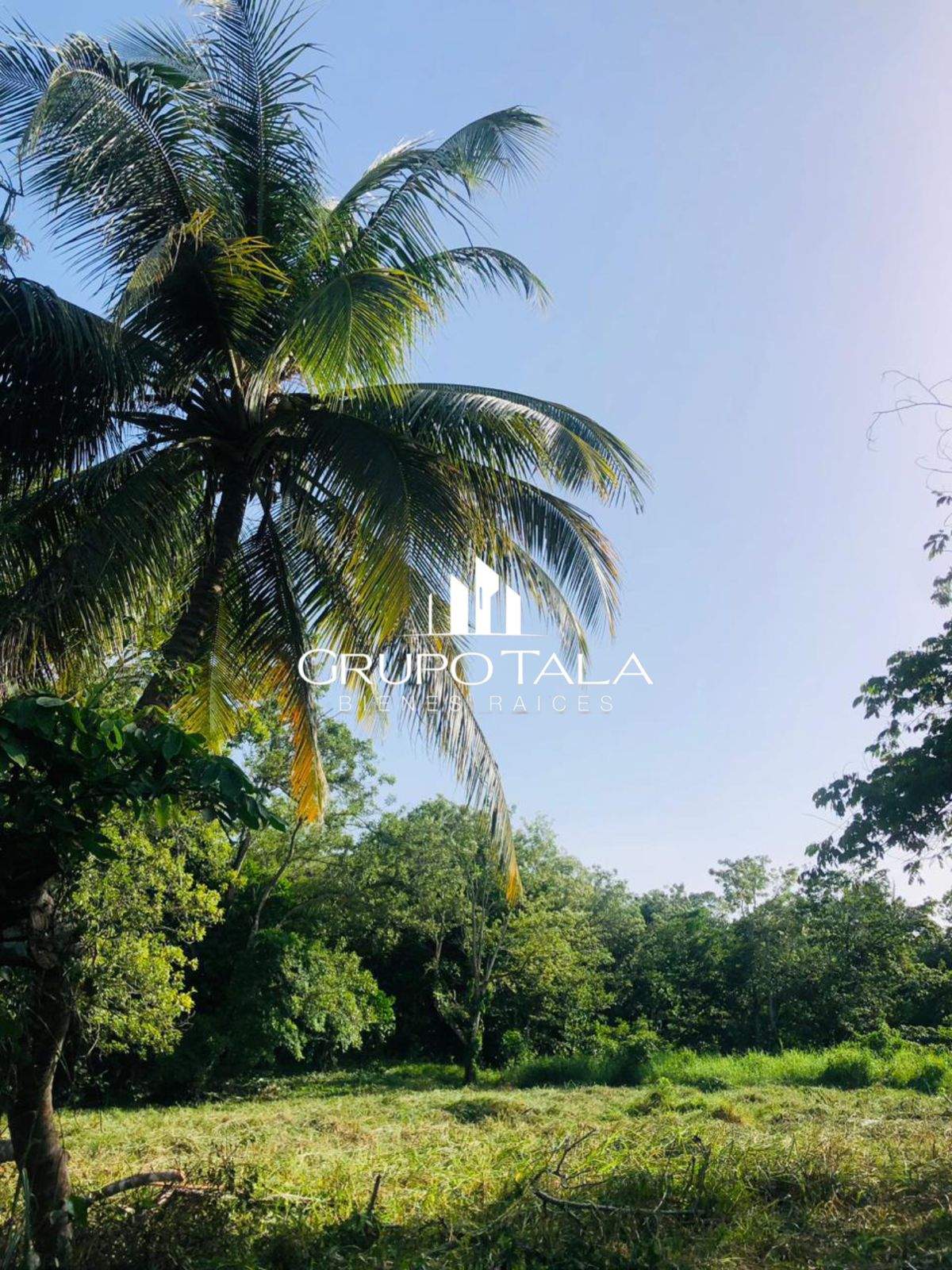 Terrenos en venta Rio Dulce - Miniatura 5